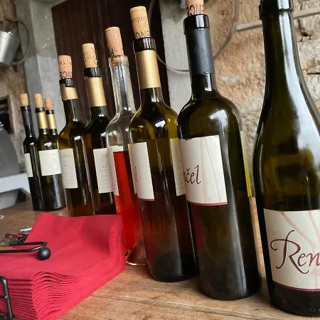 Cilka's House, Authentic Near Lipica Сasa de vacaciones