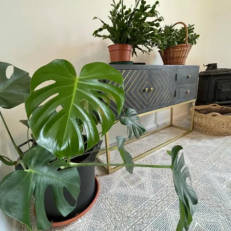 Сasa de vacaciones Cilka's House, Authentic Near Lipica