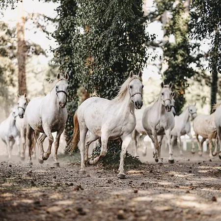 Cilka's House, Authentic Near Lipica Сasa de vacaciones *