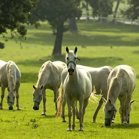 Cilka's House, Authentic Near Lipica Сasa de vacaciones Sežana