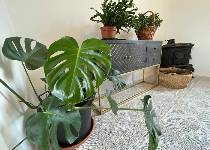 Vakantiehuis Cilka's House, Authentic Near Lipica