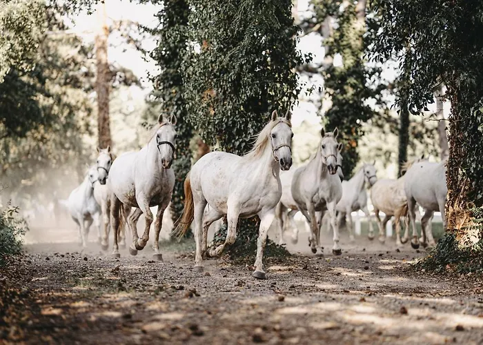 Cilka's House, Authentic Near Lipica Vakantiehuis *