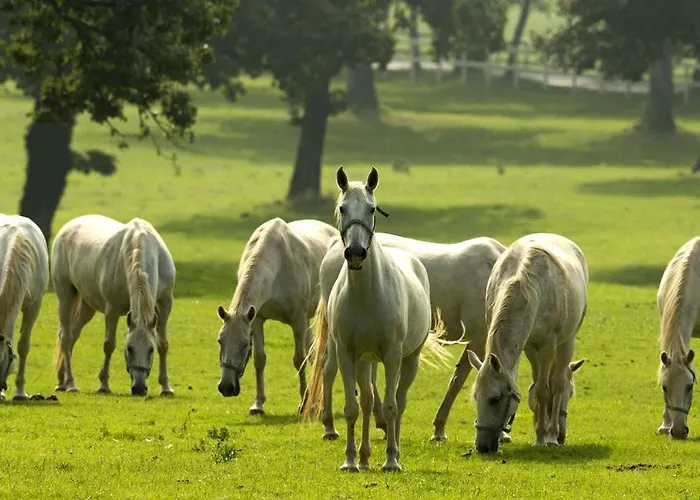 Cilka's House, Authentic Near Lipica Vakantiehuis Sežana